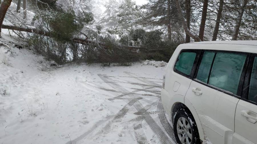 Se restablece el tráfico en la carretera de las juntas de Santiago-Pontones Se restablece el tráfico en la carretera de las juntas de Santiago-Pontones
