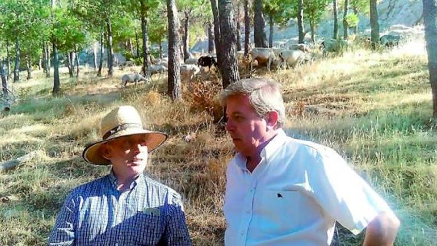 <i>Año 2018. El pastor Manuel Torres con el entonces delegado Juan Eugenio en el Cerro de Santa Catalina, mientras pastan las ovejas. / Archivo Diario JAÉN.</i> <i>Año 2018. El pastor Manuel Torres con el entonces delegado Juan Eugenio en el Cerro de Santa Catalina, mientras pastan las ovejas. / Archivo Diario JAÉN.</i>