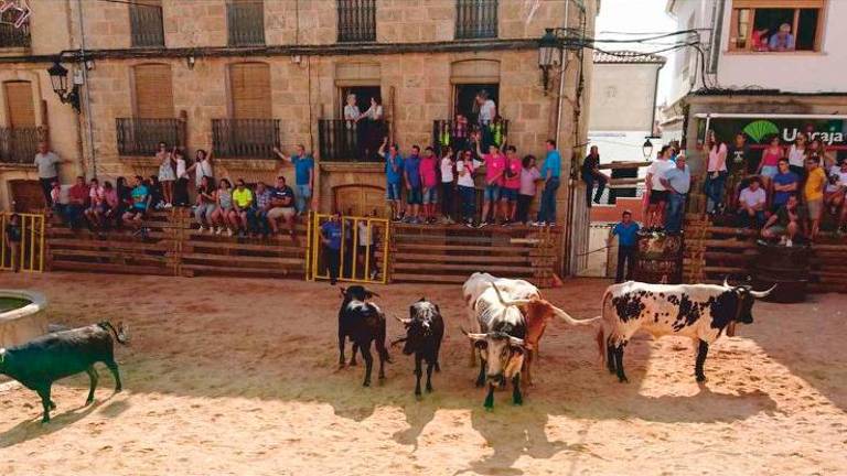 Jornadas repletas de emoción Jornadas repletas de emoción