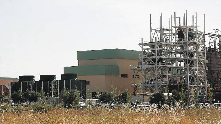 Jaén podría abastecer el 20,6% andaluz de energía con biomasa Jaén podría abastecer el 20,6% andaluz de energía con biomasa