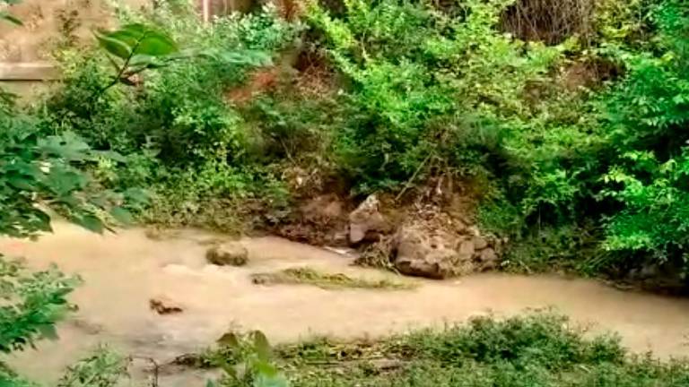 Jaén suma otros 2,86 litros de lluvia y los pantanos alivian su situación Jaén suma otros 2,86 litros de lluvia y los pantanos alivian su situación