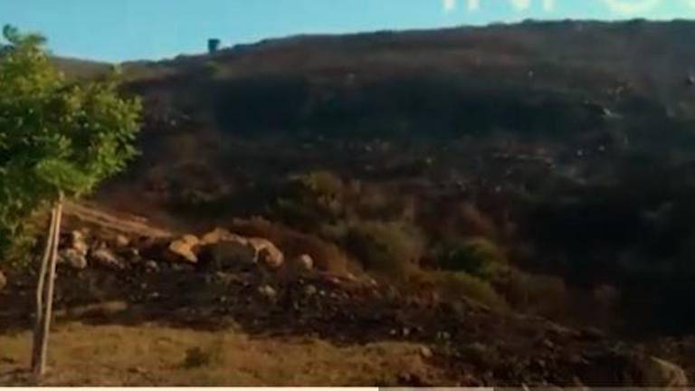 Ampliado el número de bomberos en el incendio de La Línea de la Concepción Ampliado el número de bomberos en el incendio de La Línea de la Concepción