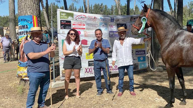 Torreperogil se erige como capital ecuestre con su Feria de Ganado Torreperogil se erige como capital ecuestre con su Feria de Ganado