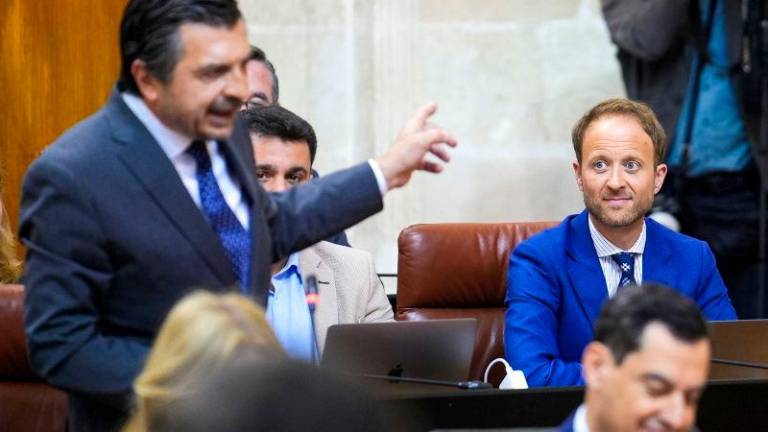 Toni Martín (PP) defiende a Erik Domínguez en el pleno del Parlamento andaluz. / Francis J. Olmo / Europa Press. 