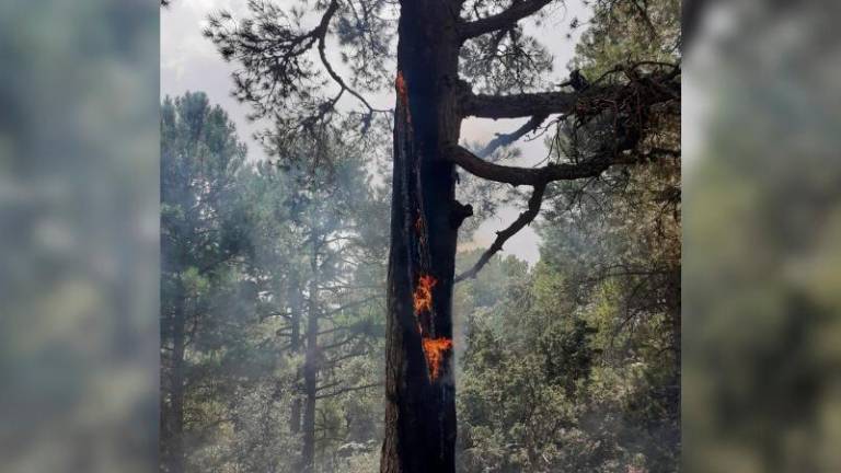 Continúa el remate y extinción de los incendios del Barranco de Guadalentín y del Torcal del Lobo en Cazorla Continúa el remate y extinción de los incendios del Barranco de Guadalentín y del Torcal del Lobo en Cazorla