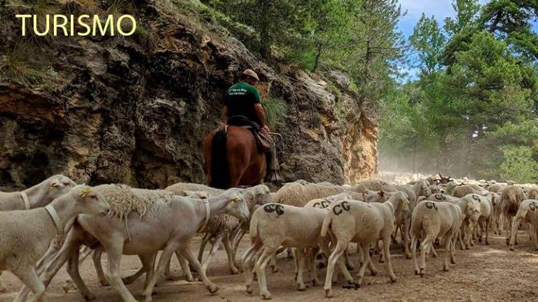 Jiennenses del Año 2022: Feria de la Trashumancia, Turismo y Costumbres, por los siglos de los siglos... Jiennenses del Año 2022: Feria de la Trashumancia, Turismo y Costumbres, por los siglos de los siglos...