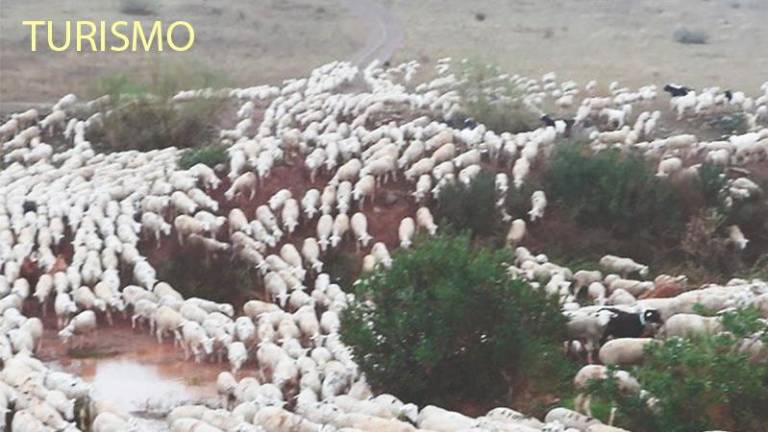 Jiennenses del Año 2022: Feria de la Trashumancia, Turismo y Costumbres, por los siglos de los siglos... Jiennenses del Año 2022: Feria de la Trashumancia, Turismo y Costumbres, por los siglos de los siglos...