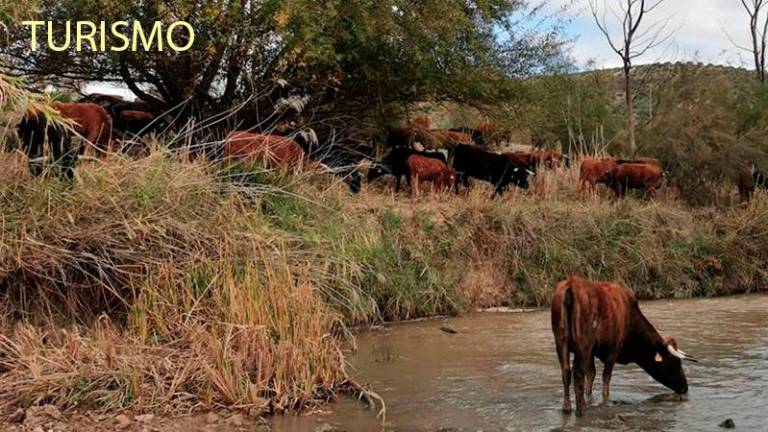 Jiennenses del Año 2022: Feria de la Trashumancia, Turismo y Costumbres, por los siglos de los siglos... Jiennenses del Año 2022: Feria de la Trashumancia, Turismo y Costumbres, por los siglos de los siglos...