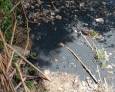 Denuncia el “deteriorado” estado de las zonas rurales Denuncia el “deteriorado” estado de las zonas rurales