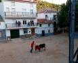 Estocada final a los encierros Estocada final a los encierros