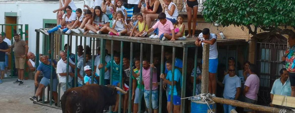 Una cogida hace saltar las alarmas Una cogida hace saltar las alarmas
