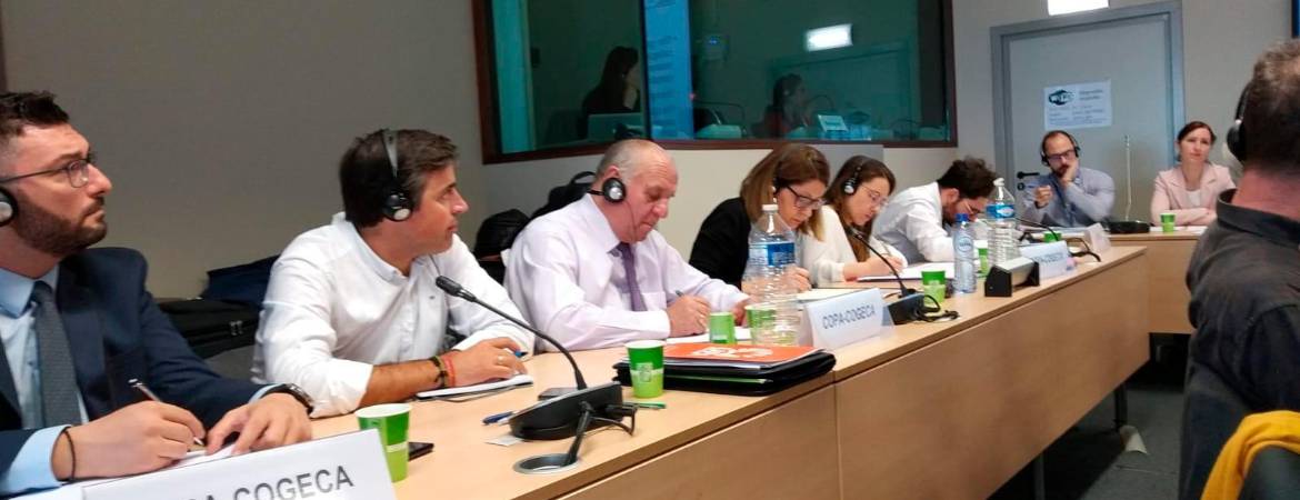 Europa prefiere hablar a imponer Europa prefiere hablar a imponer