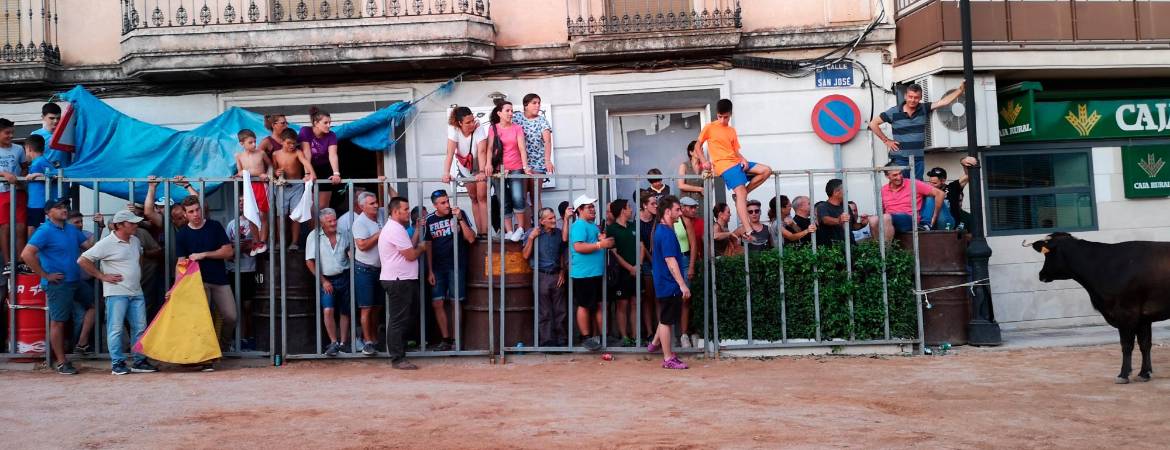 Orcera se despide de la suelta de reses bravas Orcera se despide de la suelta de reses bravas