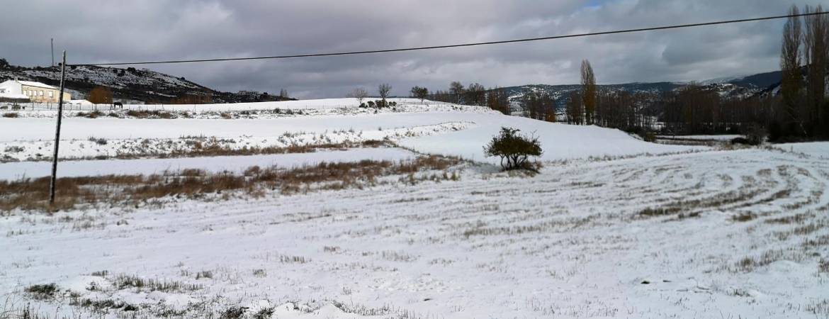 La nieve no cesa en la Sierra de Segura La nieve no cesa en la Sierra de Segura