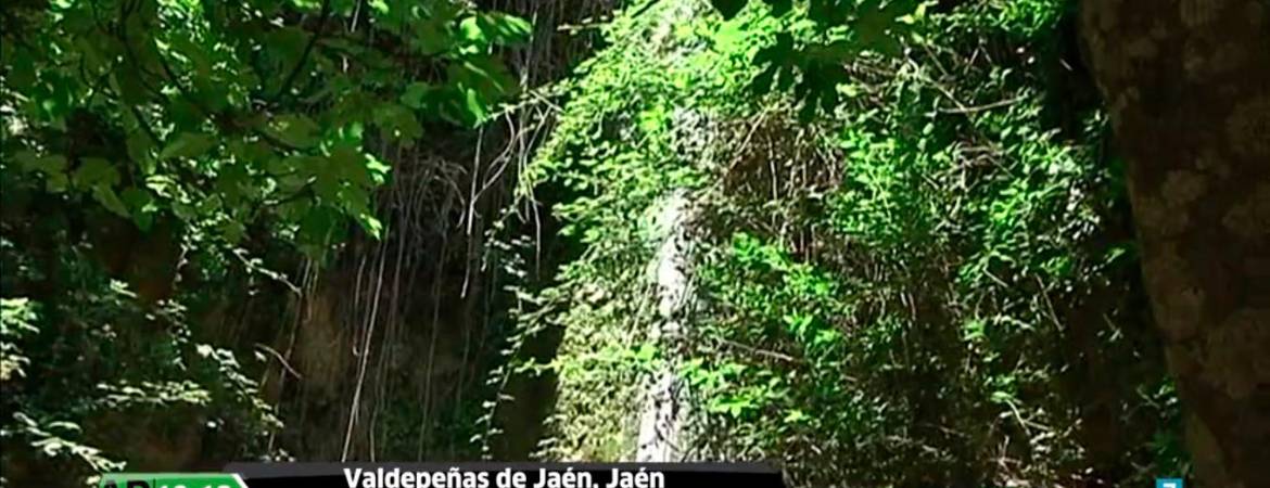 Canal sur recorre el paraíso interior de toda la provincia Canal sur recorre el paraíso interior de toda la provincia