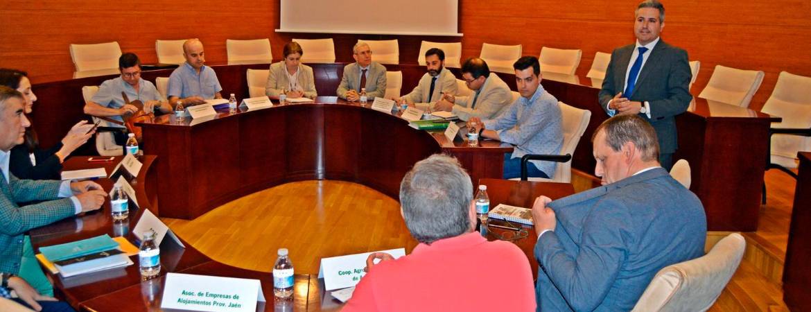Análisis del tejido productivo provincial Análisis del tejido productivo provincial