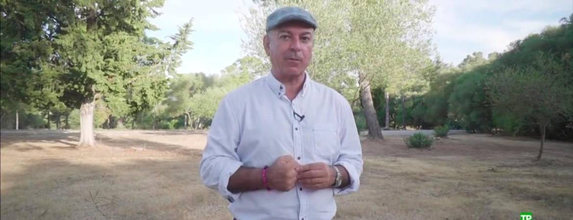 Pasión equina en la Ciudad Patrimonio de la Humanidad Pasión equina en la Ciudad Patrimonio de la Humanidad