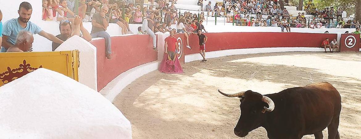 Una iniciativa con acogida Una iniciativa con acogida