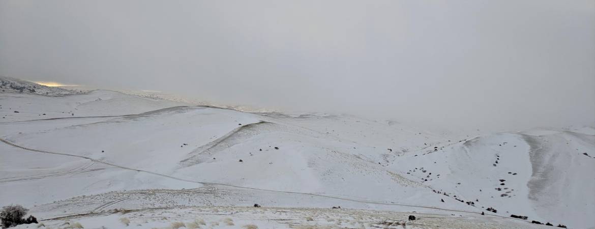 Nieva en los Campos de Hernán Pelea Nieva en los Campos de Hernán Pelea