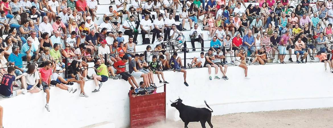 Las reses evitan el encierro Las reses evitan el encierro