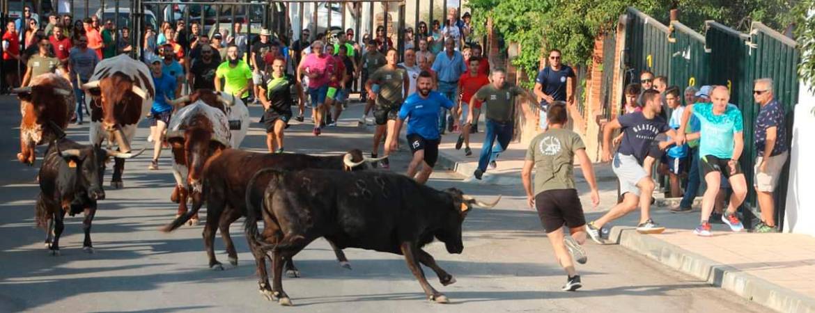 Una jornada de recortes y diversión ante el toro Una jornada de recortes y diversión ante el toro