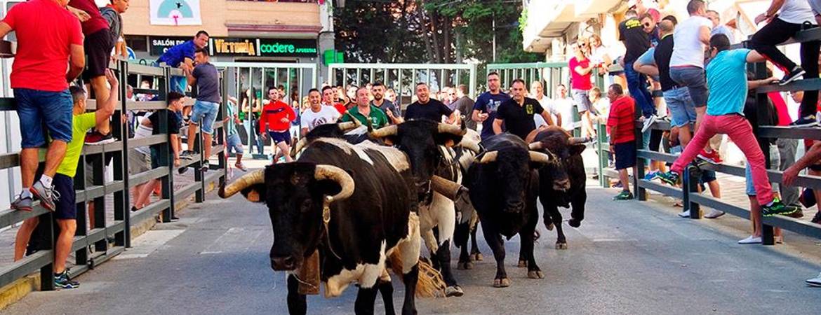 Una semana festiva pletórica Una semana festiva pletórica