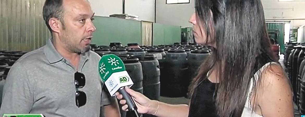 Los alcaparrones de Jaén conquistan la televisión Los alcaparrones de Jaén conquistan la televisión