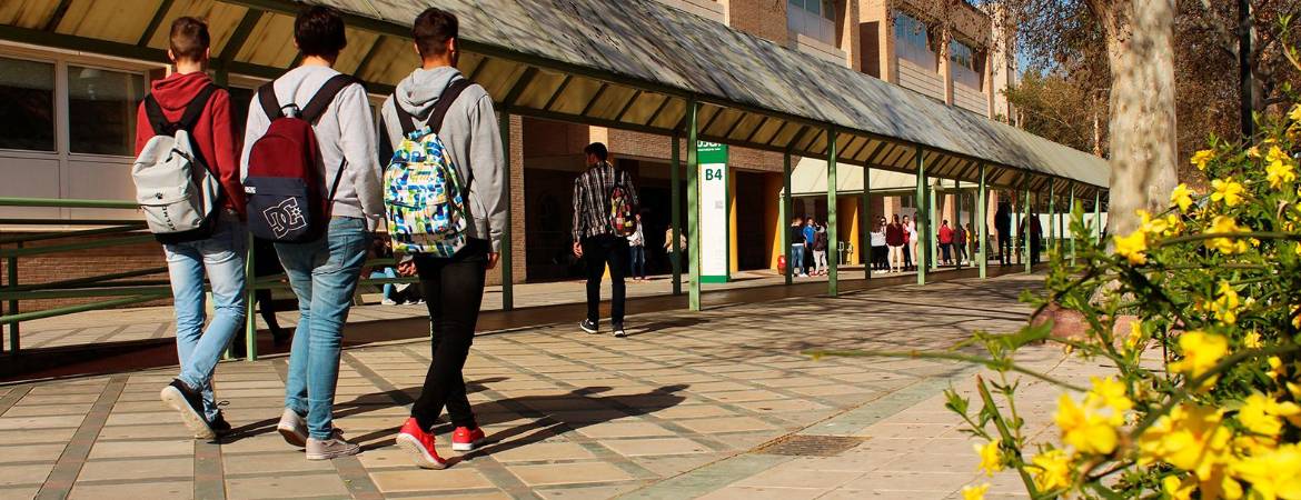 La UJA destaca como universidad “joven” La UJA destaca como universidad “joven”