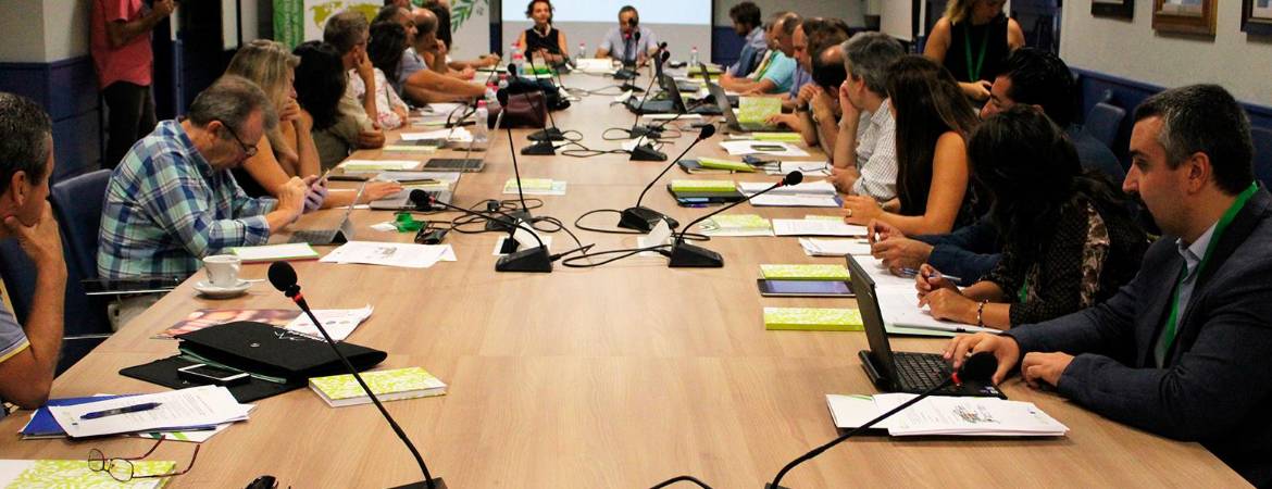 Por la mejora de la sostenibilidad en el olivar Por la mejora de la sostenibilidad en el olivar