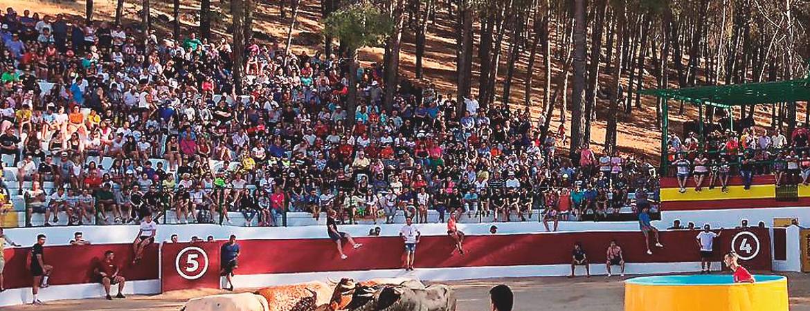 Segunda jornada de los tradicionales encierros Segunda jornada de los tradicionales encierros