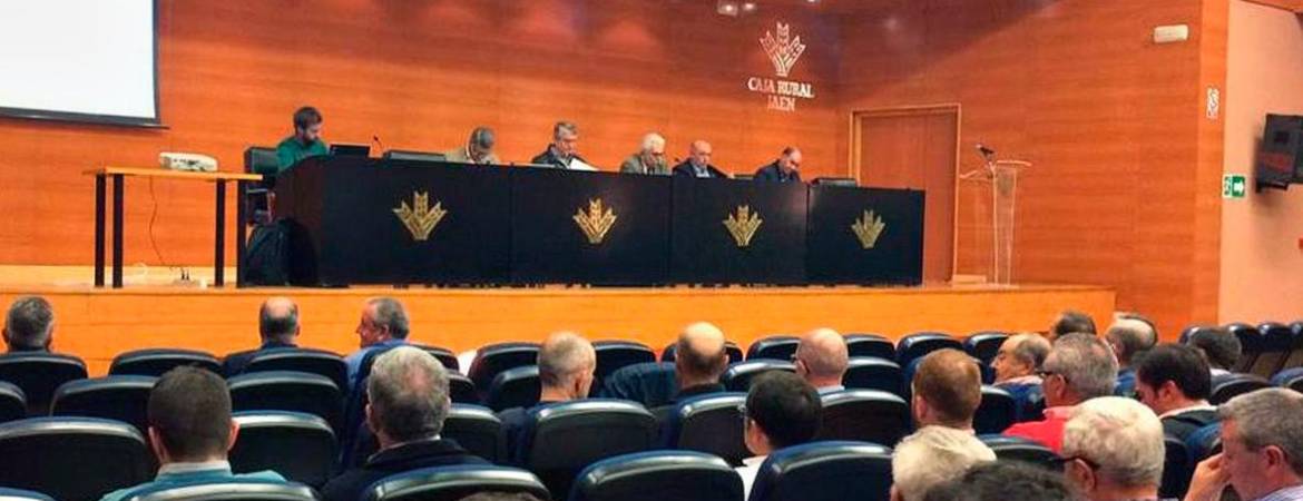 Cooperativas Agro-Alimentarias: Andalucía no superará las 900.000 toneladas de aceite Cooperativas Agro-Alimentarias: Andalucía no superará las 900.000 toneladas de aceite