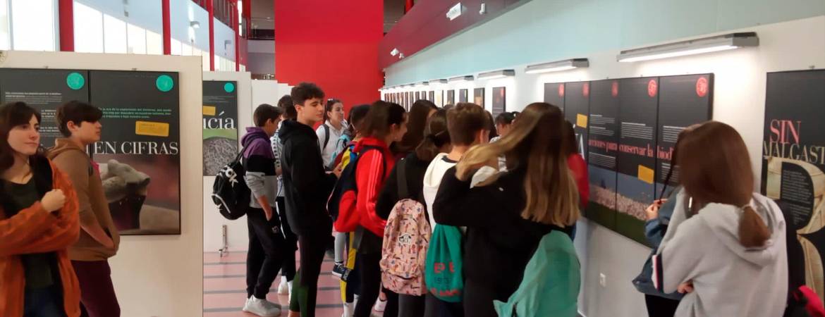 Formas distintas de aprender Formas distintas de aprender