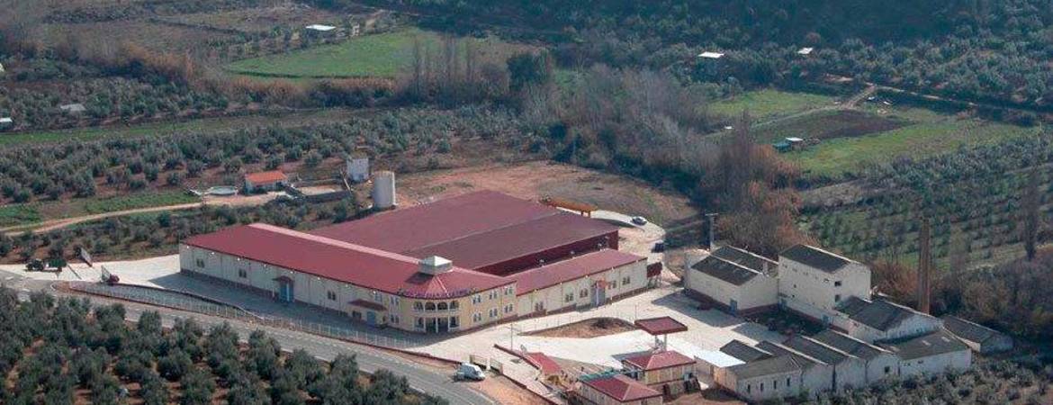 Fusión en Beas de Segura Fusión en Beas de Segura