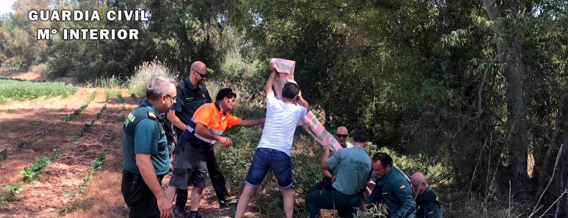 Rescatada una mujer que había sido arrastrada por el río en Villanueva de la Reina Rescatada una mujer que había sido arrastrada por el río en Villanueva de la Reina