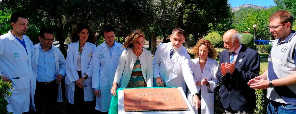Homenaje a la generosidad de donantes y familiares Homenaje a la generosidad de donantes y familiares