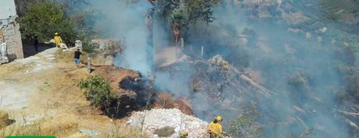 Estabilizado el incendio en Estepona y la Junta desactiva el nivel 1 del Plan de Emergencia Estabilizado el incendio en Estepona y la Junta desactiva el nivel 1 del Plan de Emergencia