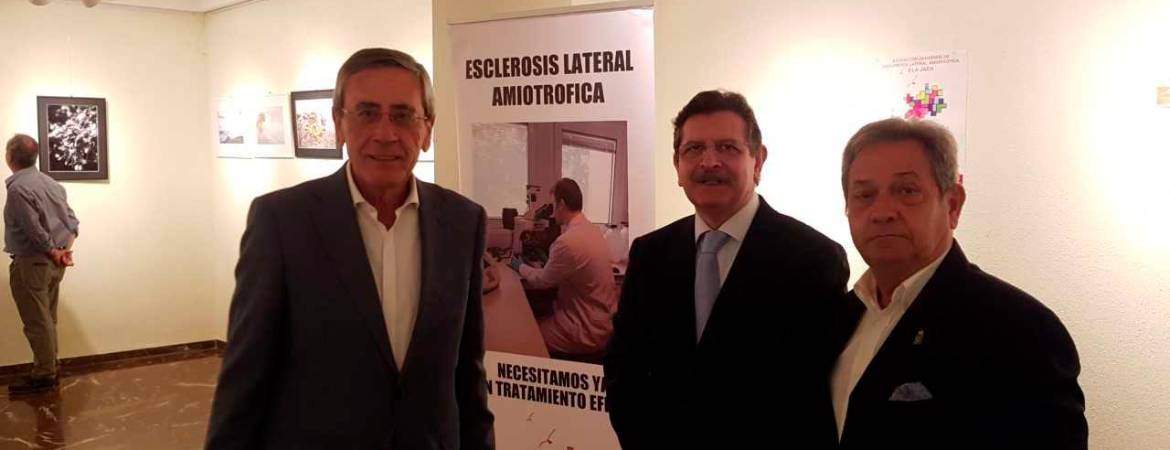 Exposición benéfica en La Económica Exposición benéfica en La Económica