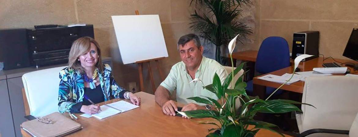 Planes “verdes” que están sin ejecutar Planes “verdes” que están sin ejecutar