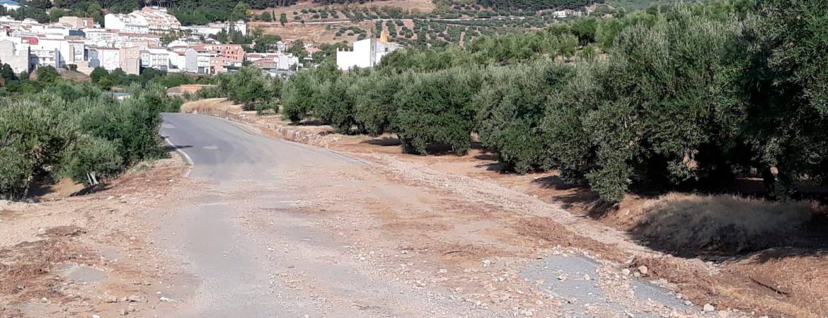 Denuncian que no se actúe en vías afectadas por la DANA Denuncian que no se actúe en vías afectadas por la DANA