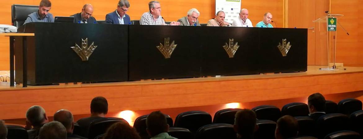 Los cooperativistas españoles llaman a la unidad para lograr la autorregulación del sector Los cooperativistas españoles llaman a la unidad para lograr la autorregulación del sector