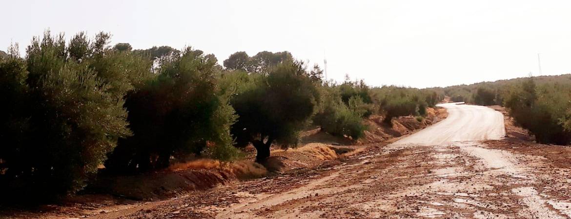 Denuncian que no se actúe en vías afectadas por la DANA Denuncian que no se actúe en vías afectadas por la DANA