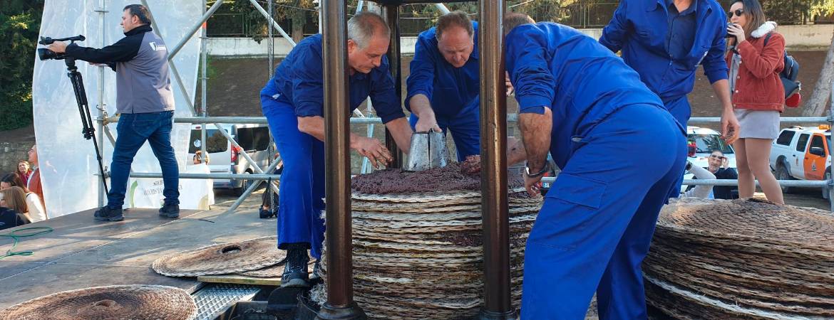 Los marteños no dudan en rendir homenaje a su tradición olivarera Los marteños no dudan en rendir homenaje a su tradición olivarera