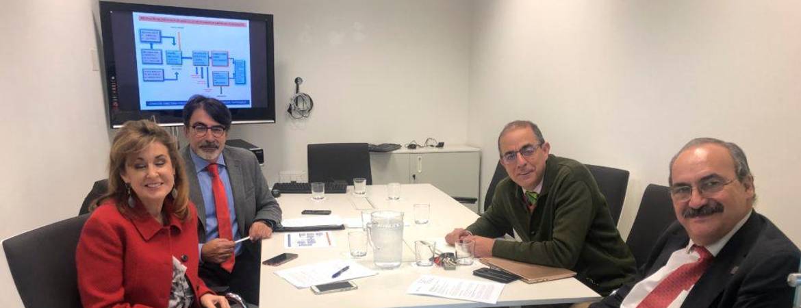 Puesta en marcha de un estudio para estar a la vanguardia de las empresas Puesta en marcha de un estudio para estar a la vanguardia de las empresas