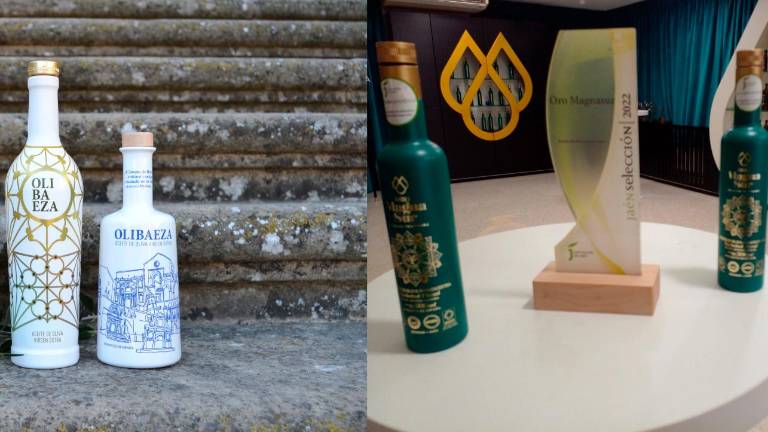 Los aceites del Papa: Olibaeza y Oro de Magnasur, dos picuales tempranos Los aceites del Papa: Olibaeza y Oro de Magnasur, dos picuales tempranos