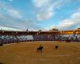 Ovación y espectáculo en el ruedo Ovación y espectáculo en el ruedo