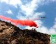 Controlados los incendios forestales en Málaga Controlados los incendios forestales en Málaga