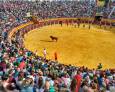 Solidaridad y toros se dan la mano Solidaridad y toros se dan la mano