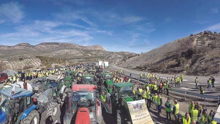 El olivar prepara nuevas protestas El olivar prepara nuevas protestas