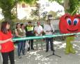 El gran “escaparate” para un fruto con mucho corazón El gran “escaparate” para un fruto con mucho corazón