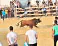 Pasión por el toro en la calle Pasión por el toro en la calle